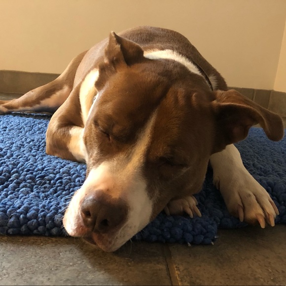 Meet your Posher, Lisa - Picture 1 of 2